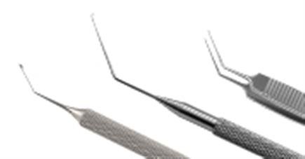 Product image for Cornea: DMEK