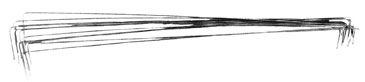 Sage Cut Wire Size 9
