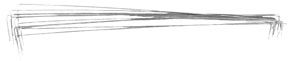 Tonsil Wire Snares size 8