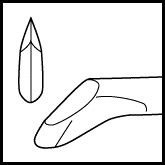 Thumb 1
